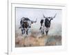 Picture Perfect IV-Kathy Winkler-Framed Art Print