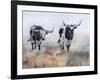 Picture Perfect IV-Kathy Winkler-Framed Art Print