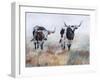 Picture Perfect IV-Kathy Winkler-Framed Art Print