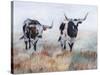 Picture Perfect IV-Kathy Winkler-Stretched Canvas