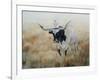 Picture Perfect V-Kathy Winkler-Framed Art Print