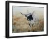 Picture Perfect V-Kathy Winkler-Framed Art Print