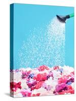 Picture Presenting Watering the Fragrant Flowers-Konrad B?k-Stretched Canvas