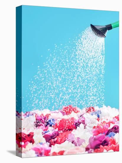 Picture Presenting Watering the Fragrant Flowers-Konrad B?k-Stretched Canvas