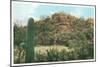 Picture Rocks Near Tucson-null-Mounted Art Print