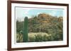 Picture Rocks Near Tucson-null-Framed Art Print