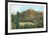 Picture Rocks Near Tucson-null-Framed Art Print