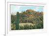 Picture Rocks Near Tucson-null-Framed Premium Giclee Print