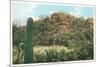 Picture Rocks Near Tucson-null-Mounted Premium Giclee Print