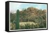 Picture Rocks Near Tucson-null-Framed Stretched Canvas