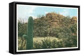 Picture Rocks Near Tucson-null-Framed Stretched Canvas