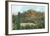 Picture Rocks Near Tucson-null-Framed Art Print