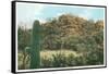 Picture Rocks Near Tucson-null-Framed Stretched Canvas