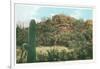 Picture Rocks Near Tucson-null-Framed Art Print