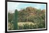 Picture Rocks Near Tucson-null-Framed Art Print