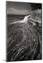 Pictured Rocks Michigan I BW-Alan Majchrowicz-Mounted Photographic Print