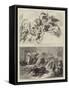 Pictures by Wilhelm Von Kaulbach-Wilhelm Von Kaulbach-Framed Stretched Canvas