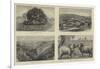 Pictures of South Australia-Samuel Edmund Waller-Framed Giclee Print