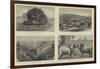 Pictures of South Australia-Samuel Edmund Waller-Framed Giclee Print