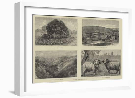 Pictures of South Australia-Samuel Edmund Waller-Framed Giclee Print