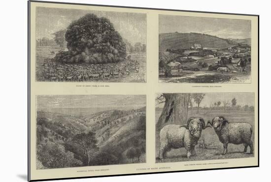 Pictures of South Australia-Samuel Edmund Waller-Mounted Giclee Print