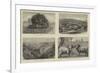 Pictures of South Australia-Samuel Edmund Waller-Framed Giclee Print