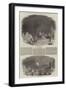 Pictures of the Polar Regions-null-Framed Giclee Print