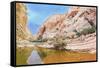 Picturesque Canyon Ein-Avdat in the Negev Desert. Clean Cold Water in the Creek Canyon. Sandstone W-kavram-Framed Stretched Canvas