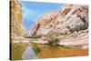 Picturesque Canyon Ein-Avdat in the Negev Desert. Clean Cold Water in the Creek Canyon. Sandstone W-kavram-Stretched Canvas