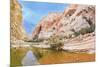 Picturesque Canyon Ein-Avdat in the Negev Desert. Clean Cold Water in the Creek Canyon. Sandstone W-kavram-Mounted Photographic Print