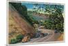 Picturesque Los Gatos Highway near Santa Cruz - Santa Cruz, CA-Lantern Press-Mounted Art Print