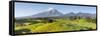 Picturesque Mount Taranaki (Egmont) and Rural Landscape, Taranaki, North Island, New Zealand-Doug Pearson-Framed Stretched Canvas