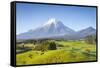 Picturesque Mount Taranaki (Egmont) and Rural Landscape, Taranaki, North Island, New Zealand-Doug Pearson-Framed Stretched Canvas