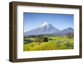 Picturesque Mount Taranaki (Egmont) and Rural Landscape, Taranaki, North Island, New Zealand-Doug Pearson-Framed Photographic Print