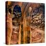 Picturesque Sandstone Rock Formations-Erez Herrnstadt-Stretched Canvas