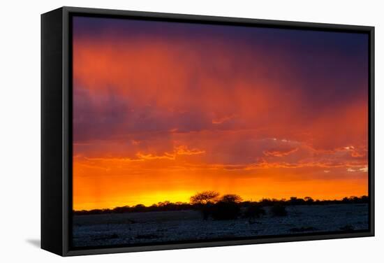 Picturesque Scene of Etosha National Park over Sunset-Micha Klootwijk-Framed Stretched Canvas