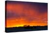 Picturesque Scene of Etosha National Park over Sunset-Micha Klootwijk-Stretched Canvas