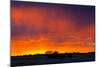 Picturesque Scene of Etosha National Park over Sunset-Micha Klootwijk-Mounted Photographic Print