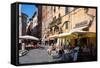 Picturesque Street in Lucca, Tuscany, Italy, Europe-Peter Groenendijk-Framed Stretched Canvas