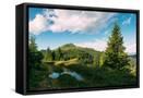 Canvas Black
