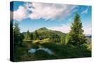 Stretched Canvas