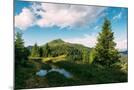 Wood Mount
