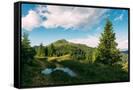 Canvas Black