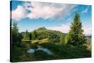 Stretched Canvas