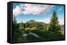 Canvas Black