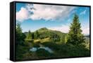 Canvas Black