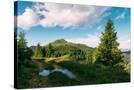 Stretched Canvas