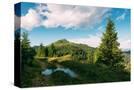 Stretched Canvas