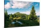 Stretched Canvas