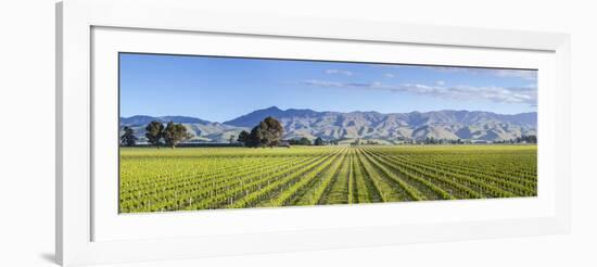 Picturesque Vineyard, Blenheim, Marlborough, South Island, New Zealand-Doug Pearson-Framed Photographic Print